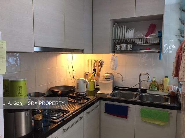 Blk 518C The Premiere @ Tampines (Tampines), HDB 5 Rooms #192836282
